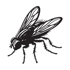 Street Fly silhouette, commonly found in urban settings – Fly illustration – Minimalist Fly vector – Insect silhouette

