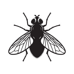 Curious Fly silhouette, exploring every surface – Fly illustration – Minimalist Fly vector – Insect silhouette

