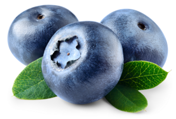 Blueberry isolated png. Blueberry with leaves on white or transparent background. Perfect retouched three blueberries with leaf no background. Png blueberry. Full depth of field.