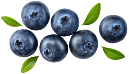 Blueberry isolated png. Blueberry with leaves top view on transparent background. Perfect retouched blueberry no background. Png blueberries collection. Full depth of field.