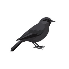 Fototapeta premium Geometric Black Bird Illustration