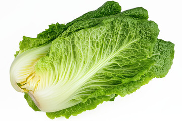 A whole romaine lettuce, isolated on a white background