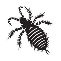 Detailed Lice silhouette, showing the parasitic form – Lice illustration – Minimalist Lice vector – Insect silhouette

