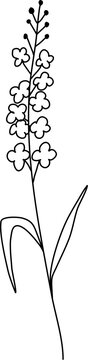 recommend clip art: Abstract lavender lilac flowers line drawing art vector illustration