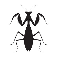 Striking Mantis silhouette, frozen in mid-motion &ndash; Mantis illustration &ndash; Minimalist Mantis vector &ndash; Insect silhouette

