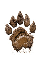 Isolated Muddy Animal Paw Print