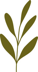 Hand drawn leaf illustration