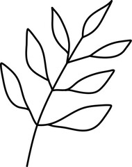 Ruscus Leaf Line Illustration