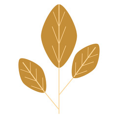Isolated autumn leaves, a colorful fall foliage pattern of yellow, orange, and brown, showcases the season's natural beauty