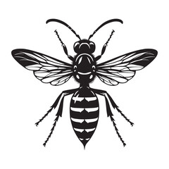Elegant Wasp silhouette, with delicate wings and sharp lines – Wasp illustration – Minimalist Wasp vector – Insect silhouette

