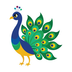 detailed illustration of a peacock displaying feathers