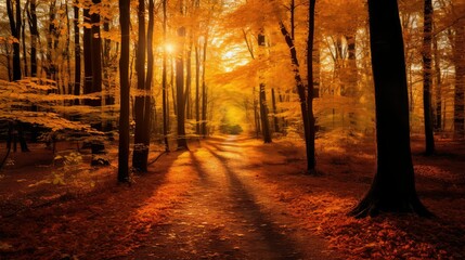 Fototapeta premium foliage fall leaf