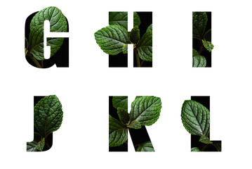 Letters G H I J K L with leaves in text alphabet