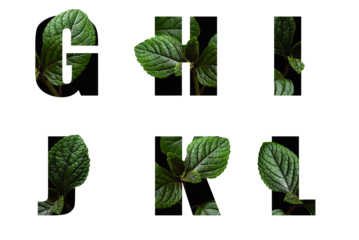 Letters G H I J K L with leaves in text alphabet