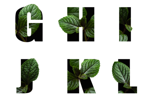 Letters G H I J K L with leaves in text alphabet