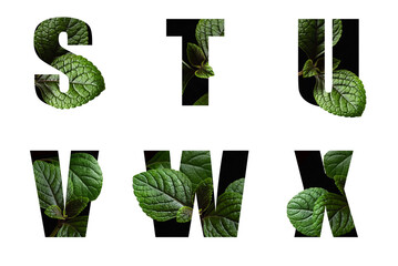 Letters S T U V W X with leaves in text alphabet