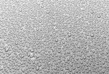 Water drops texture background. Shiny water drops on dark surface.