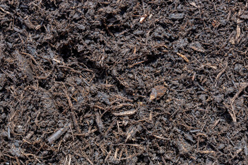 Homemade peat free compost background backdrop made from garden waste scraps.