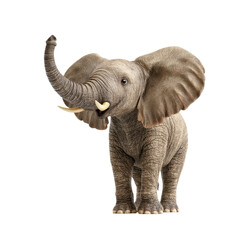 Fototapeta premium Cute baby elephant with trunk up on white background. Concept of wildlife, animal, and nature.