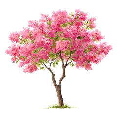 Fototapeta premium Watercolor illustration of a flowering tree with pink blossoms and green leaves. Isolated on white background.