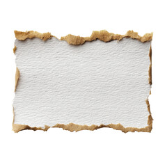 Torn edge paper texture. White paper with rough edges. Isolated on white background.