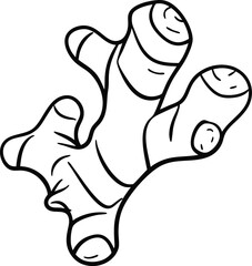 Ginger Root outline vector. isolated ginger on white background