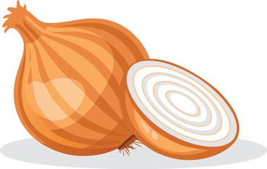 onion isolated on a white background