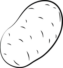 Potato vector isolated