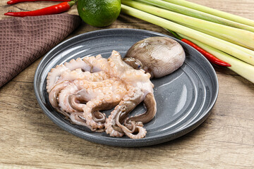 Raw fresh octopus for cooking