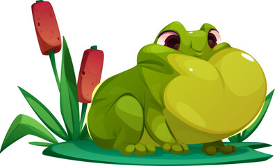 Fototapeta premium Cute Frog