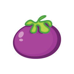mangosteen fruit illustration design