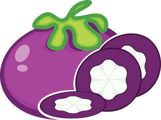 mangosteen fruit illustration design