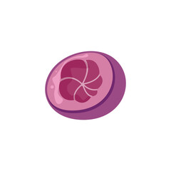 mangosteen fruit illustration design