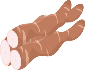 cassava illustration design