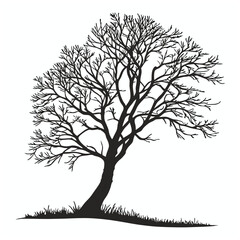 Obraz premium Tree silhouette Vector illustrator