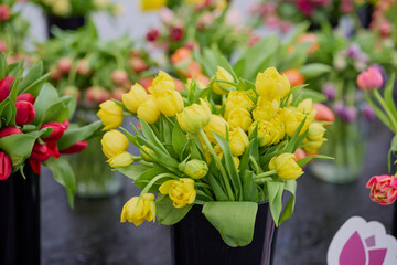 landscape with beautiful tulips with selective focus