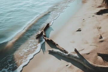 Gentle waves washing over driftwood branches on a sandy beach create a serene coastal scene