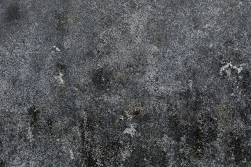 Green moss and rain stains on cement wall
