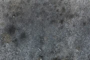Green moss and rain stains on cement wall