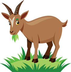 Goat eating grass
