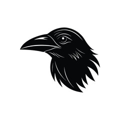 eagle head vector illustration