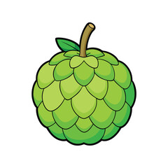 Sugar Apple Vector Illustration – Flat Tropical Fruit Icon for Organic Food Packaging, Juice Labels, and Healthy Diet Concepts