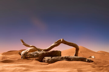 Twisted wooden trunks lying on rough and rugged stones. The stones are like tree trunks, resting on...