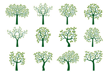 Set green Trees. Vector outline Illustration. Plants in Garden.