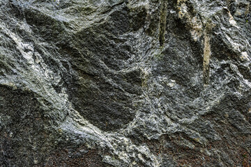 Close-up view of a natural, textured gray rock surface showcasing unique patterns and mineral formations, reflecting geological processes over time.