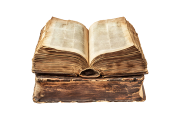 Plank open textbook isolated on transparent background
