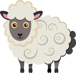 Sheep with curly wool