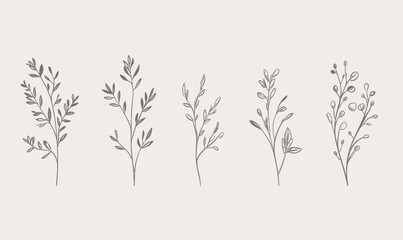 Fototapeta premium Elegant Minimalist Floral Branches Vector for Logos Wedding Tattoo Design