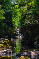 Fairy Glen