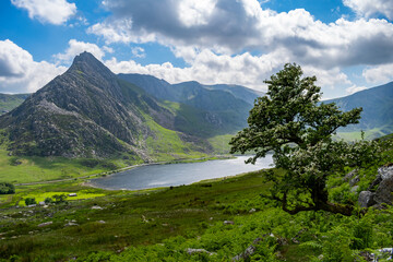 Tryfan & Llyn Ogwen